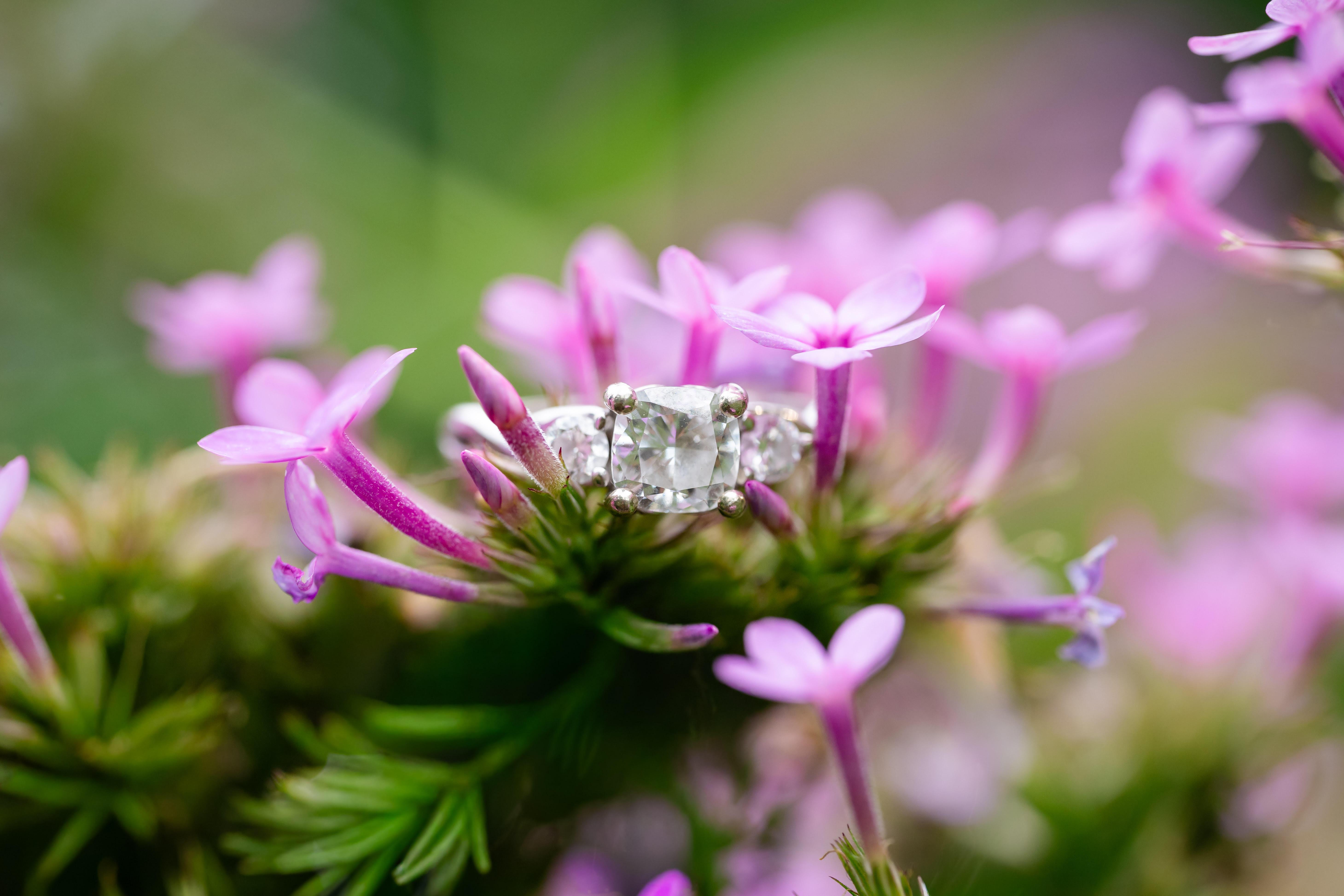 The Wedding Website of Erin Moyer and Baily Wehr