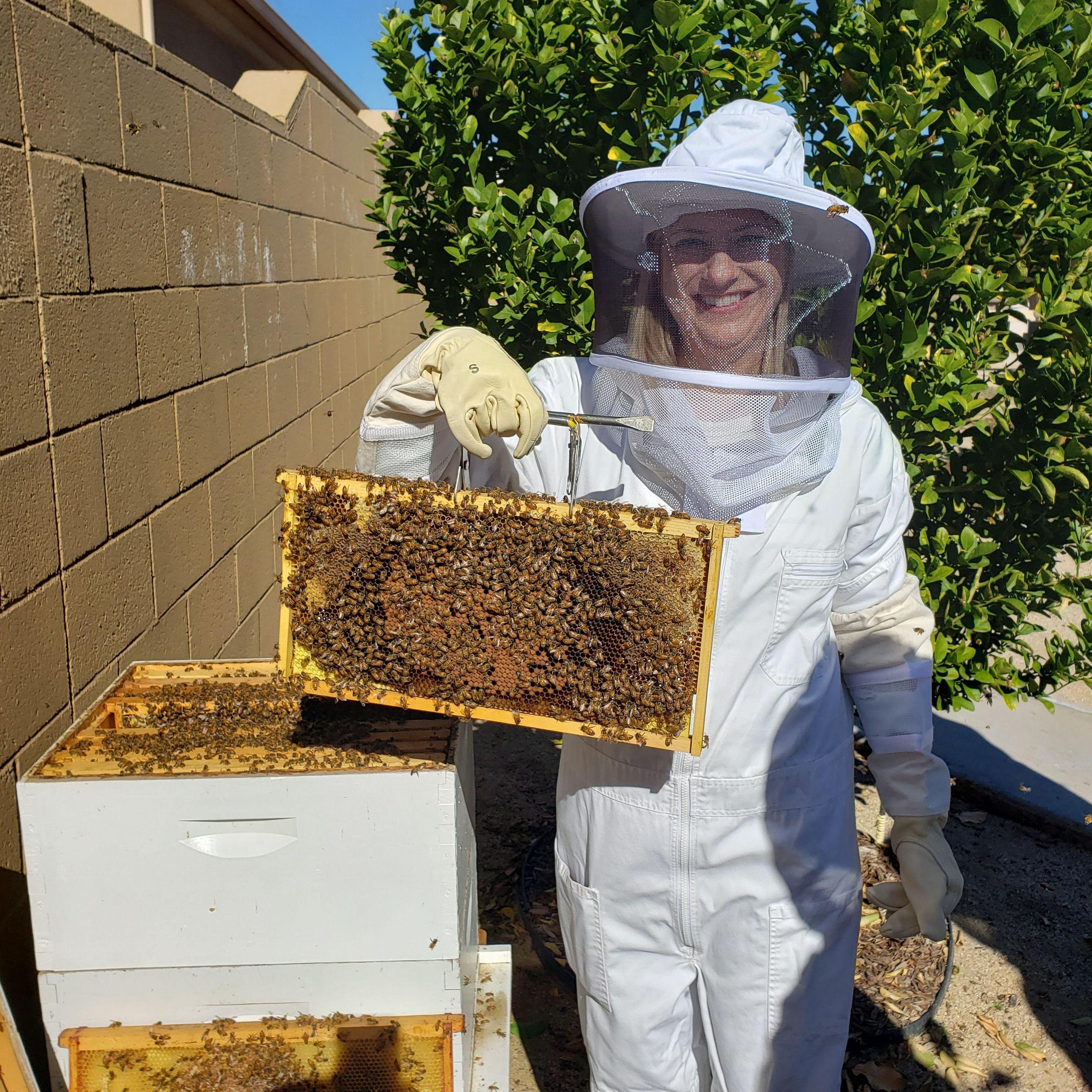 Bee keeping class in Arizona