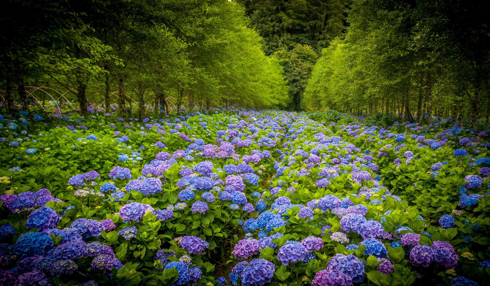 Hero Slideshow Image 1