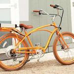 Chelan Electric Bike Guided Tours