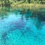 Alexander Springs Recreation Area