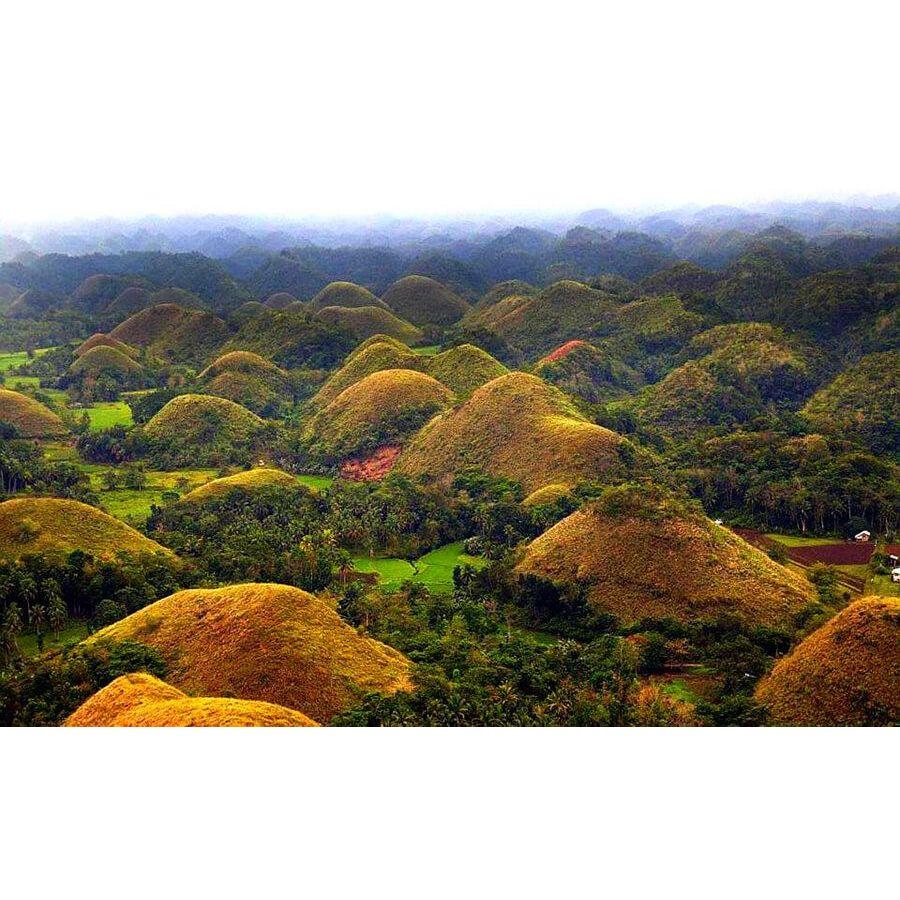 Chocolate Hills in Bohol