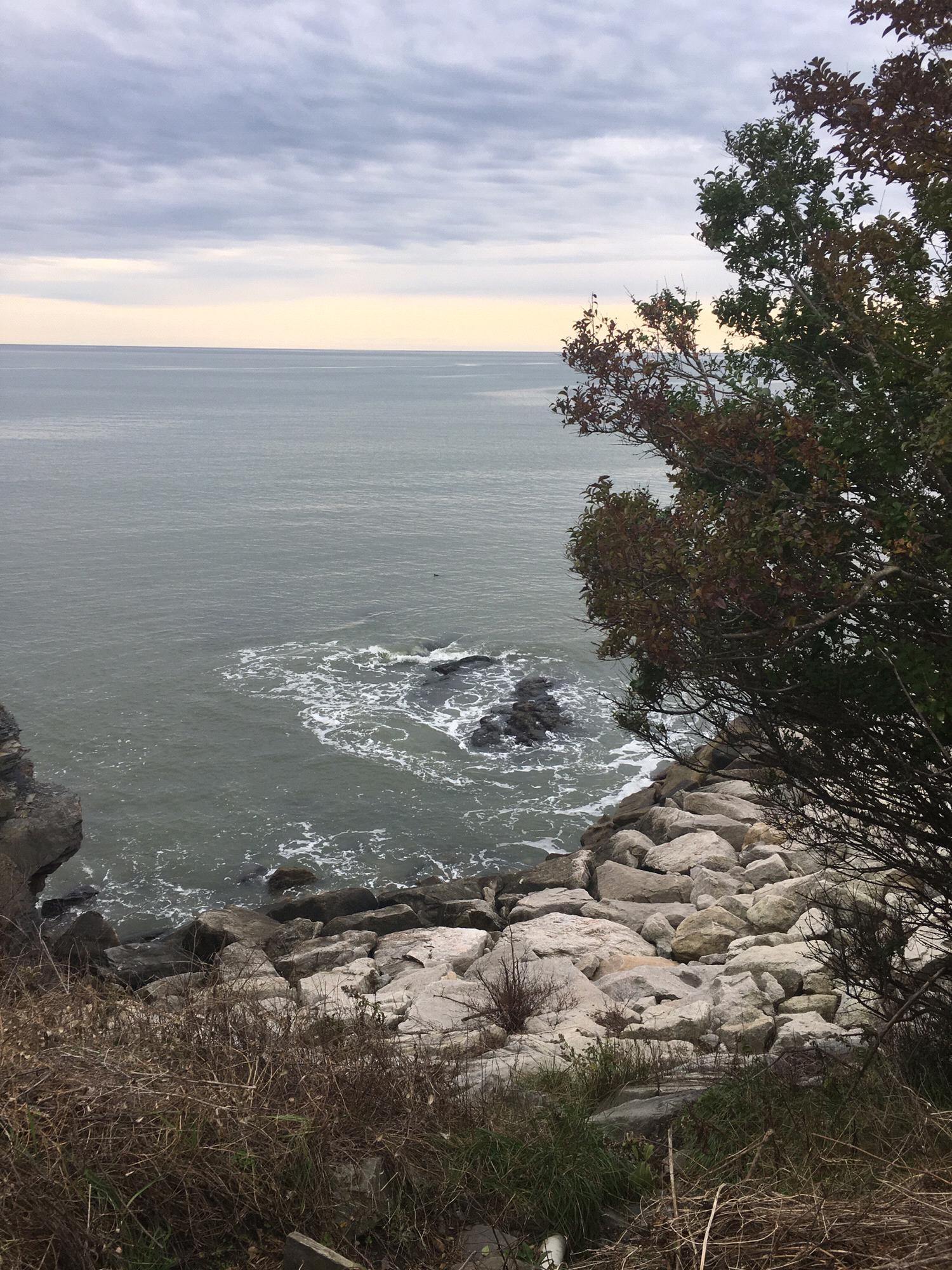 Our engagement spot - November 18, 2018