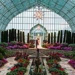 Como Park Conservatory
