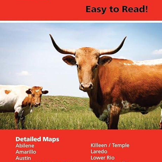 Rand McNally Easy to Read: Texas State Map