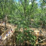 Blacklick Woods Canopy Walk
