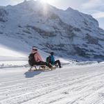 Sledging