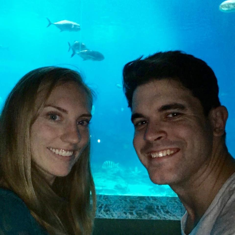 In November 2016, we took a train trip to Atlanta and visited the largest aquarium in the country!