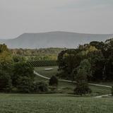 Star in the Valley Winery