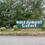 Wild Animal Safari