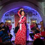 Casa del Arte Flamenco Granada (Flamenco Show)