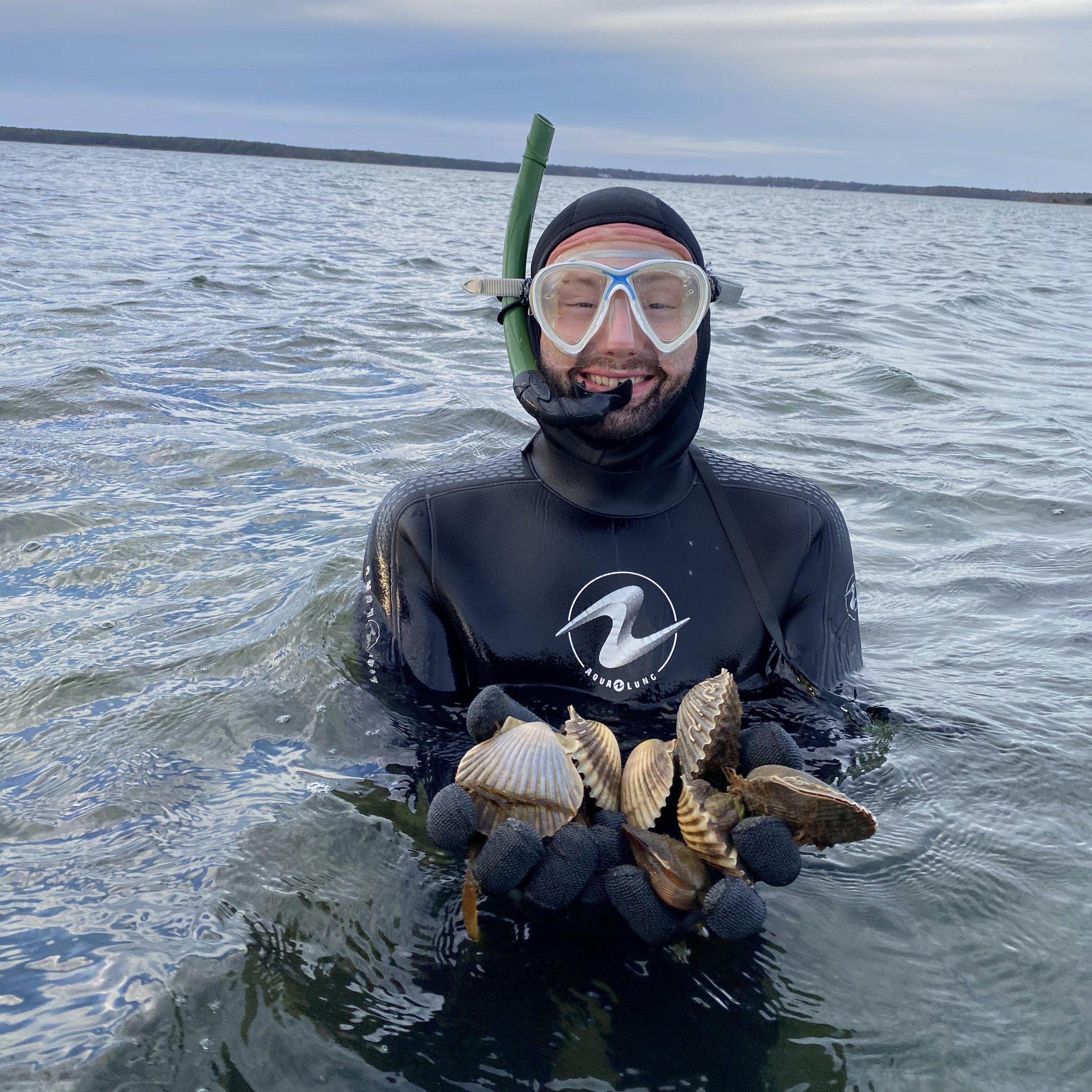 Bay scallops were one of Andrew's white whales - but he found them! Cape Cod gold! Oct. 2023