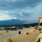 Hazy Mountain Vineyards & Brewery