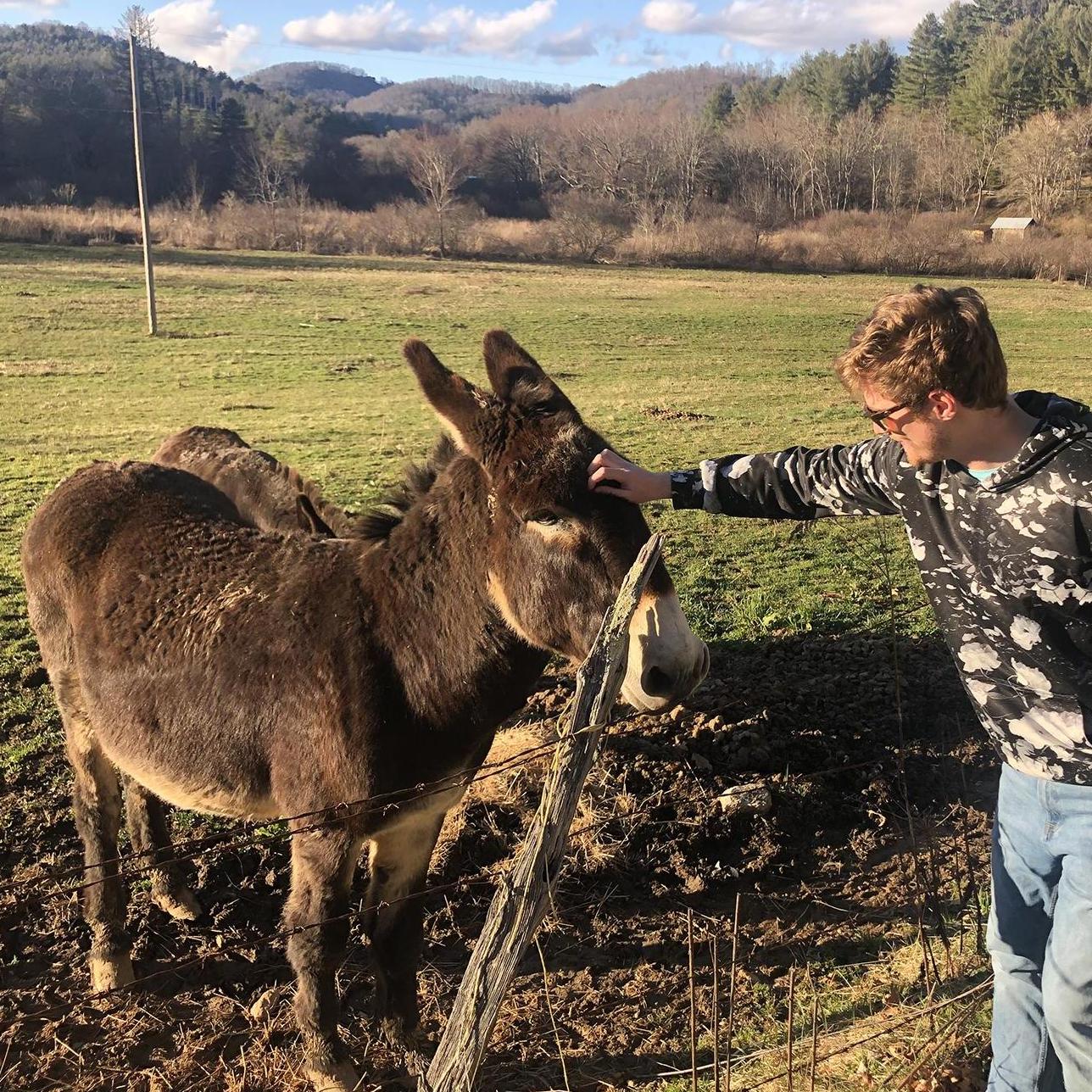 Stopping to see the donkeys on one of our trips to the Stone family mountain house