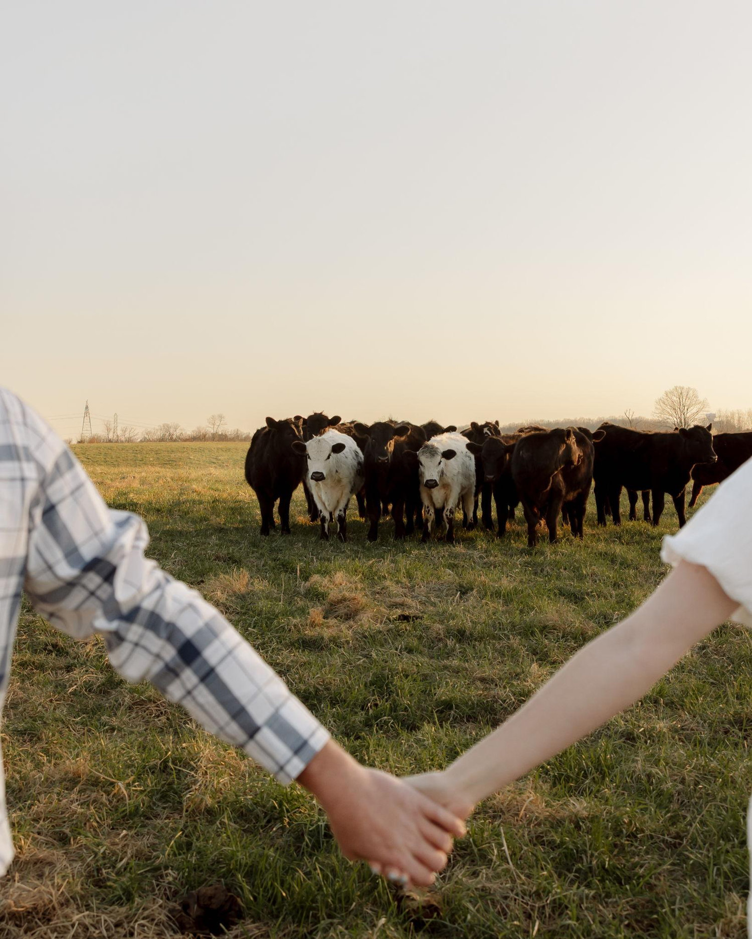 The Wedding Website of Kayla DuBois and Steven Douglas