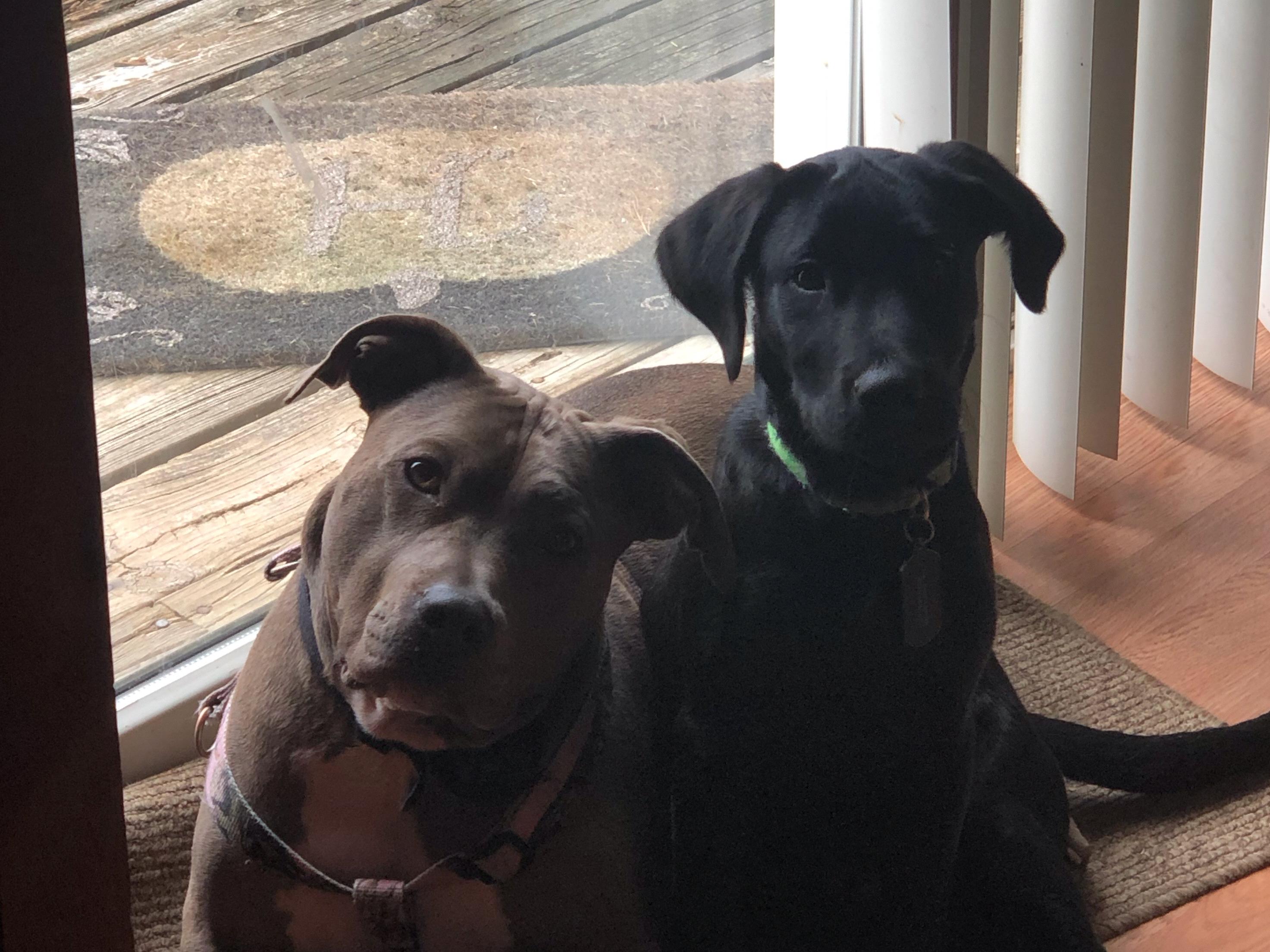 The Wedding Website of Sophia Amaranto and Jon Hovermann