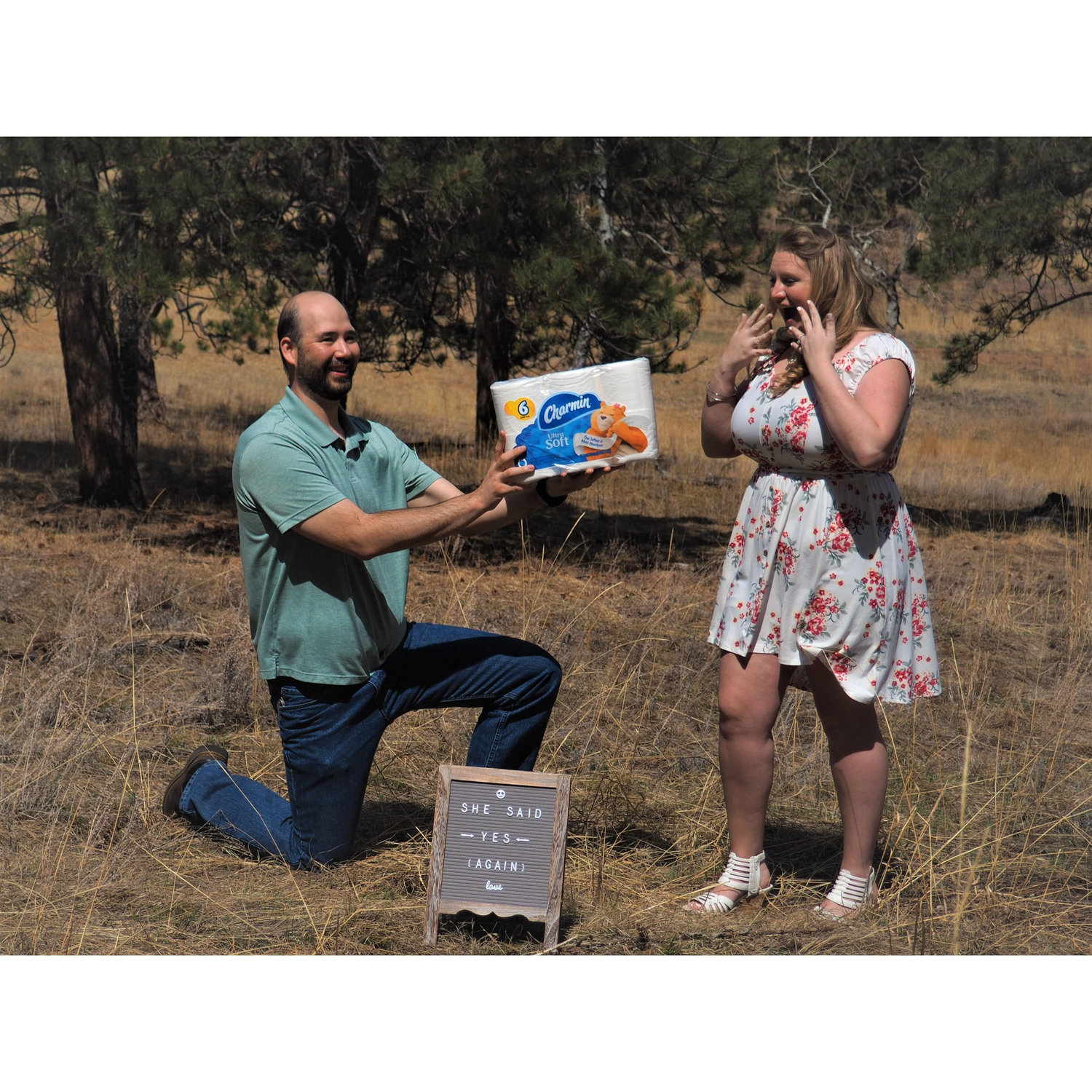 Re-Save our date proposal