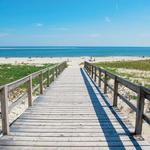 Crane Beach