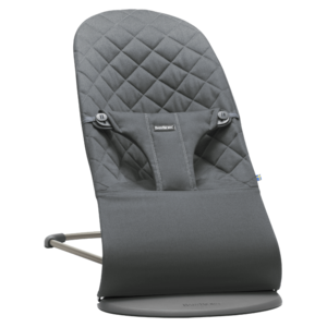 Baby Bjorn Bouncer