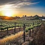 Leoness Cellars