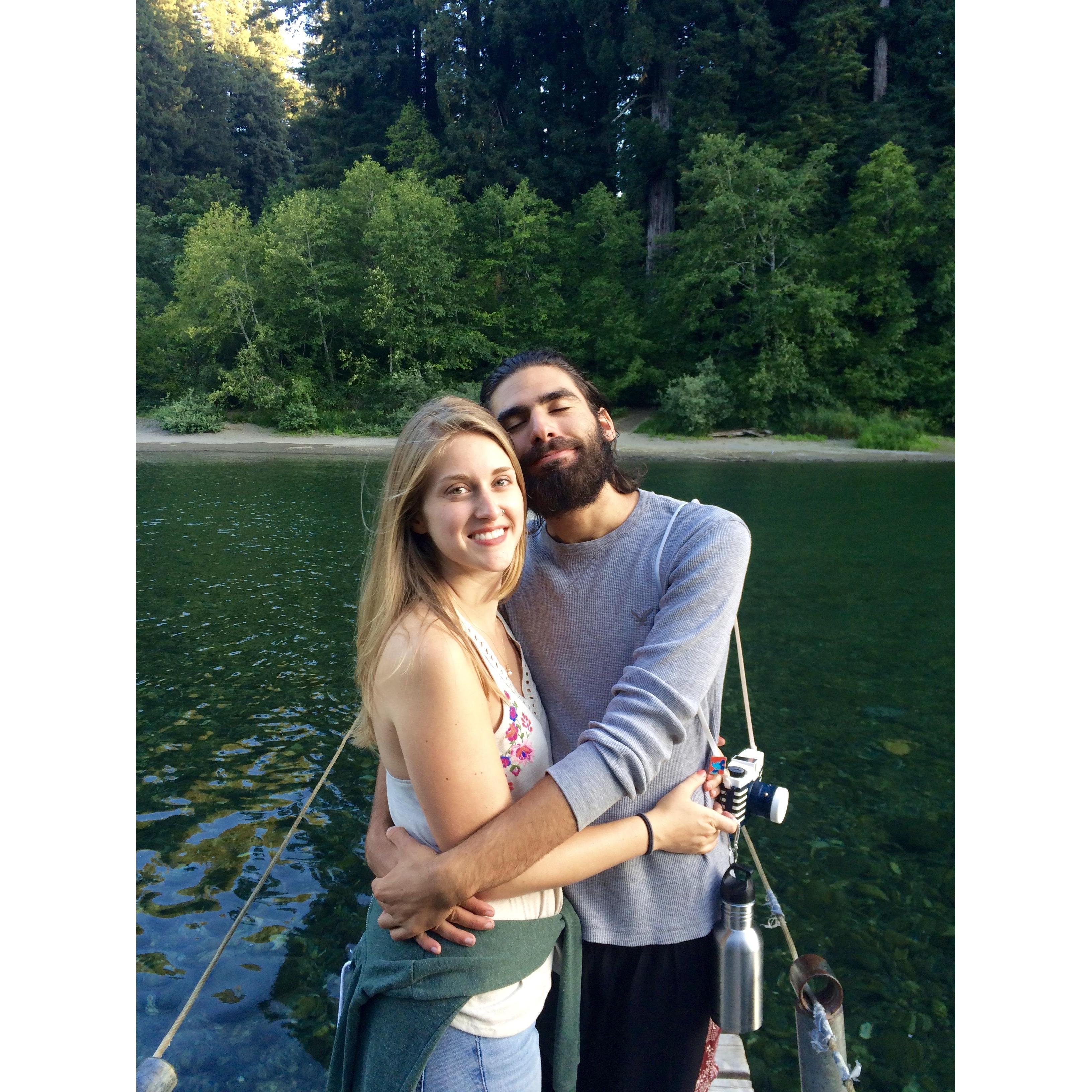 Redwoods CA 2016
