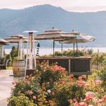 Succession Wines