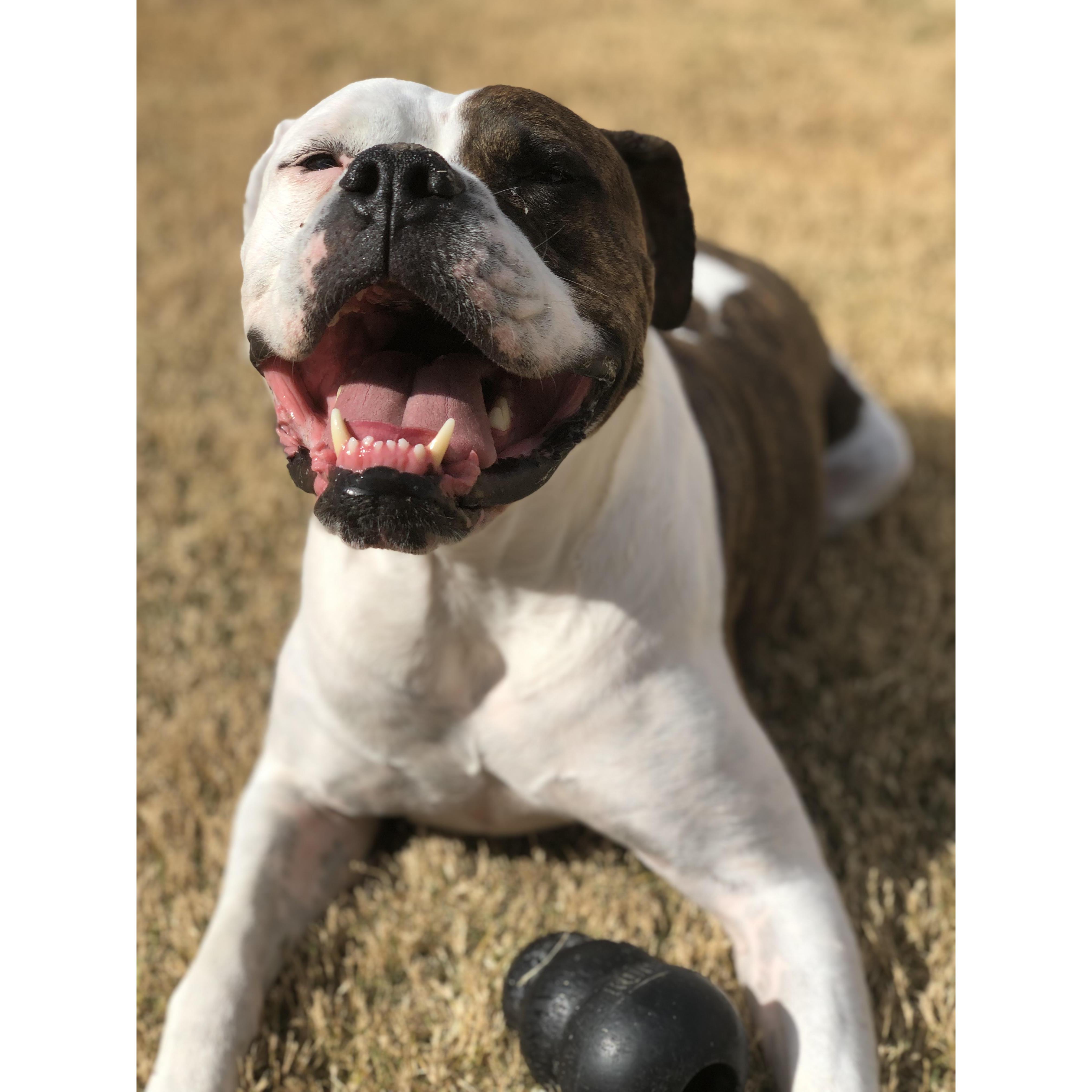 Zeus having a great time!