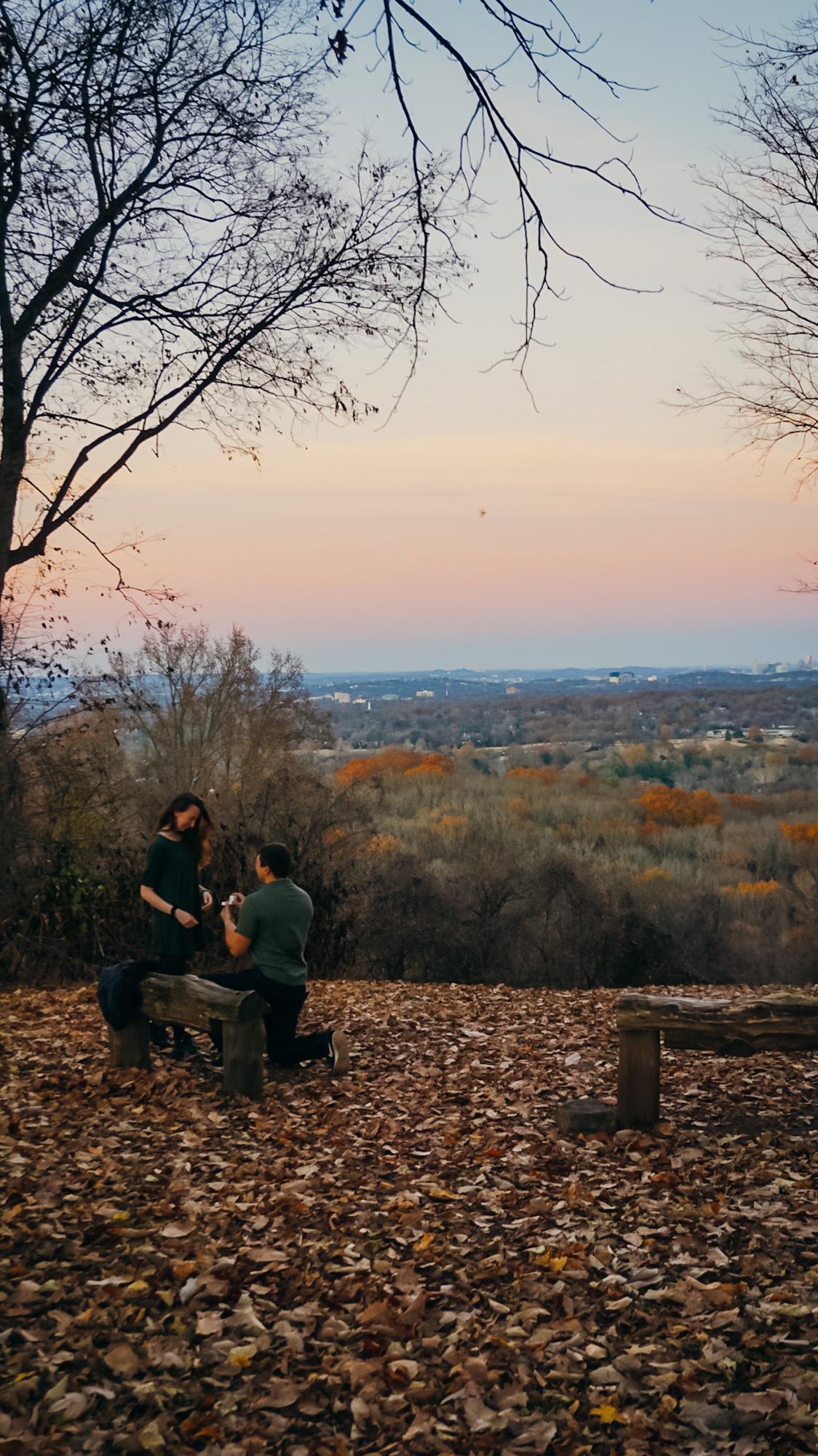 The proposal!