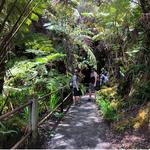 Hawaii Volcanoes National Park