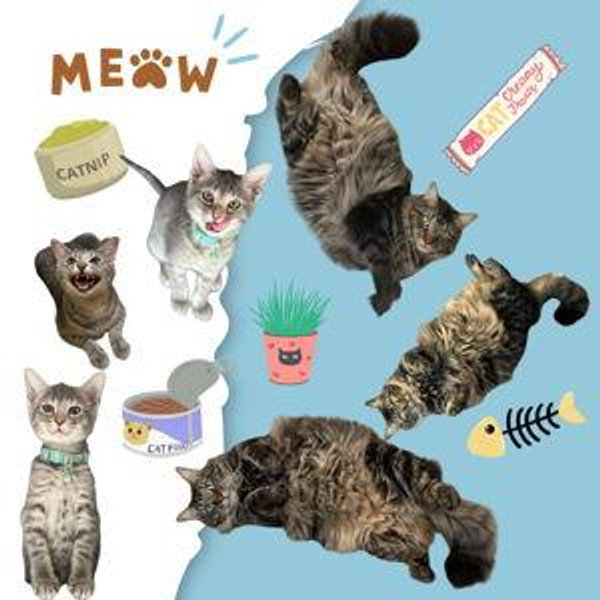 Hank & Frankie’s Catnip Fund