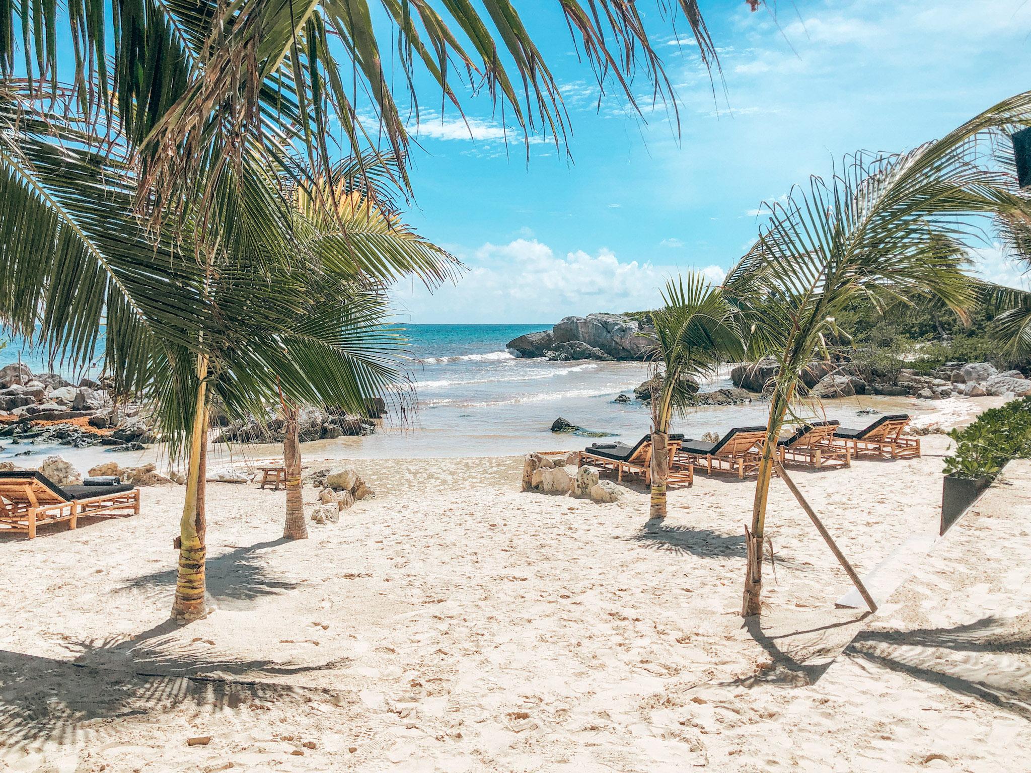 The Wedding Website of Grace O'Hare-Byrne and Darren Stuart-Neal