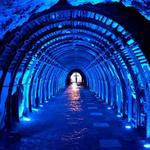 Salt Cathedral