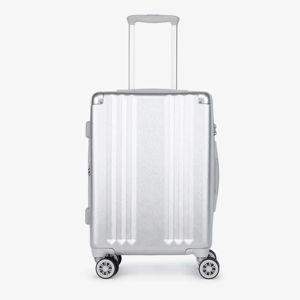 Ambeur Carry-On Luggage in Silver