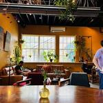 Iconik Coffee Roasters, Red