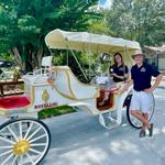 Olde Mount Dora Carriage Company