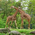 Pittsburgh Zoo & Aquarium