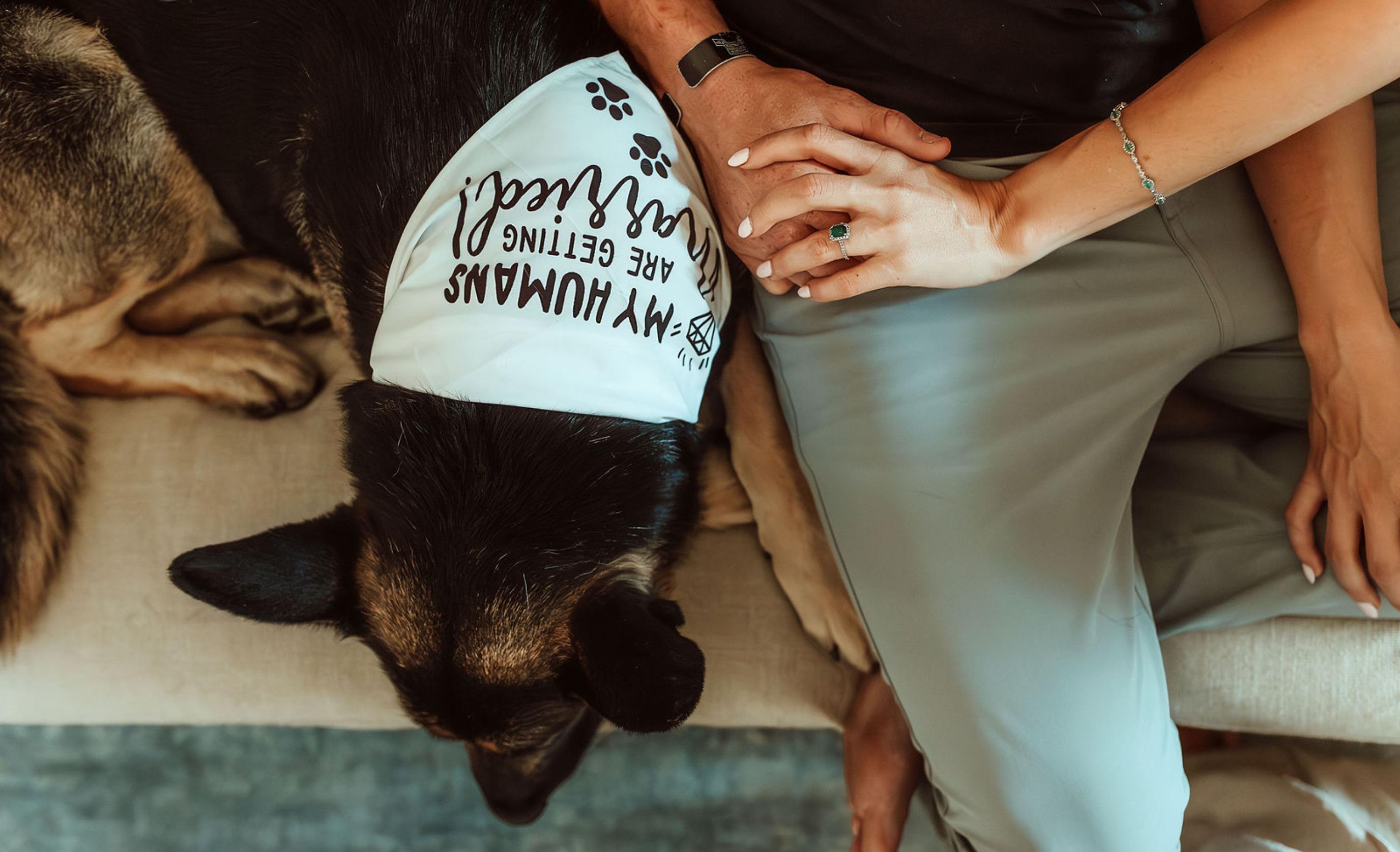 The Wedding Website of Shannon Philipps and Brandon Tucker