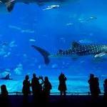 National Aquarium