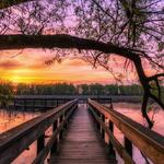 Tifft Nature Preserve