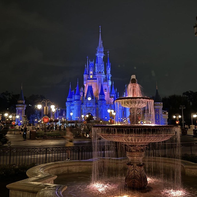 2 Day Tickets to Magic Kingdom x2