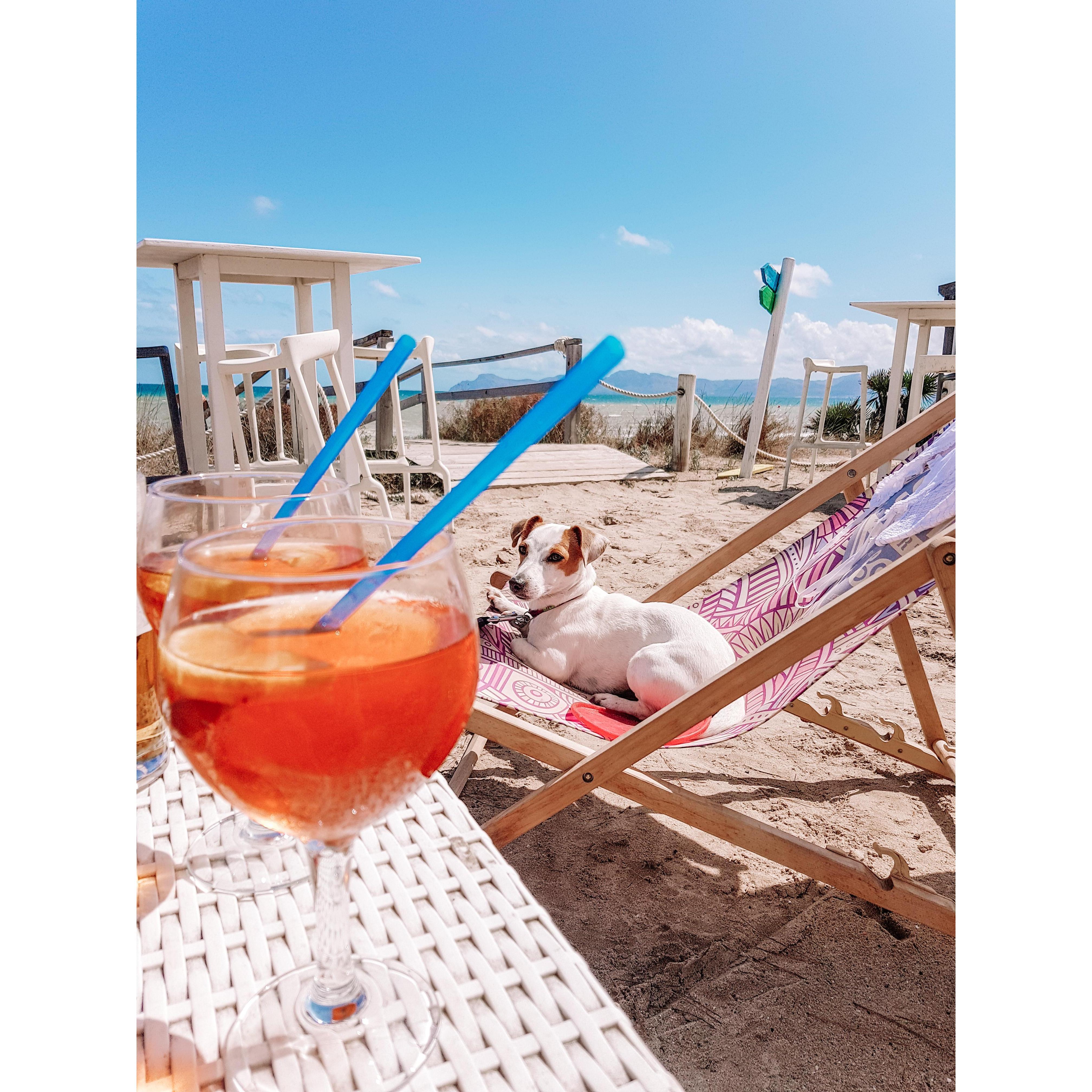 MALLORCA 2019