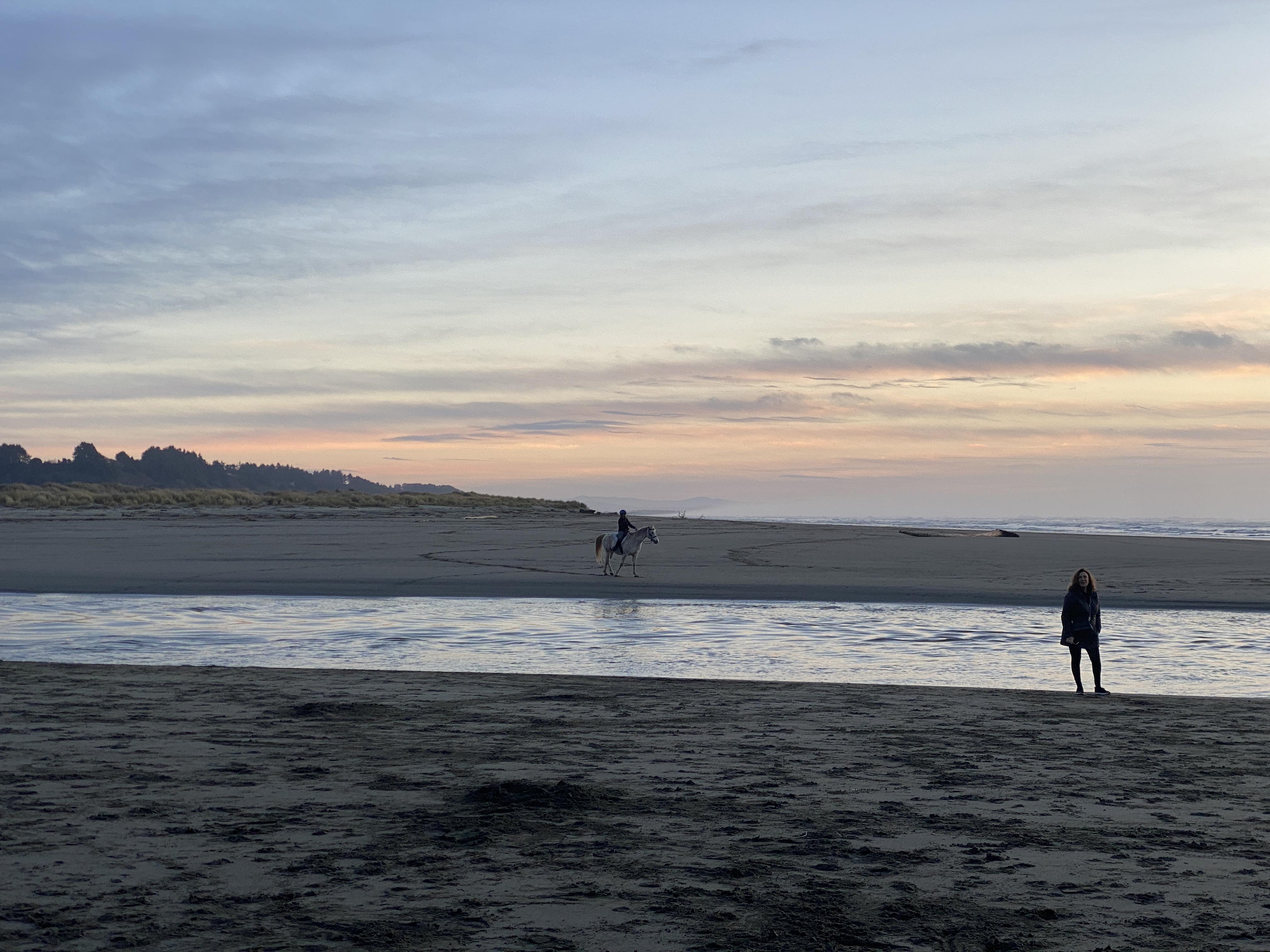 The Wedding Website of Cleo Jackson and Spencer Dryden