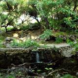 Felicita County Park