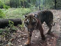Fort Wayne Children's Zoo