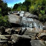 Graveyard Fields Loop Trail