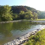 The Swimming Pond at Zephyr Valley Community Coop