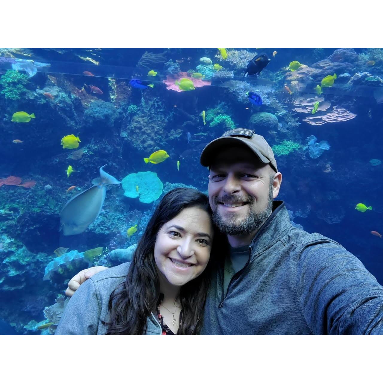 GA Aquarium