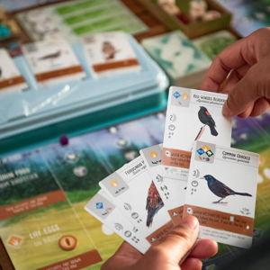 Board Game Fund
