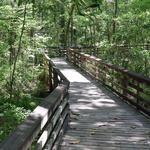 Weeks Bay National Estuarine Research Reserve
