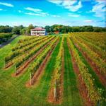 Willow Creek Winery